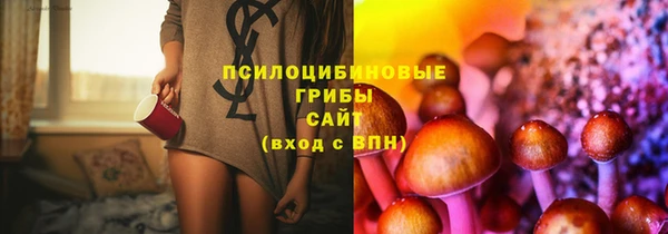 ешки Армянск