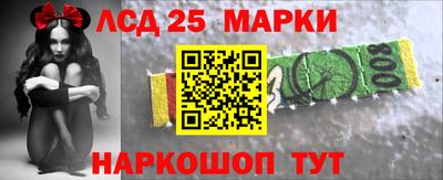 гидропоника Гатчина