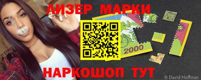 гидропоника Гатчина