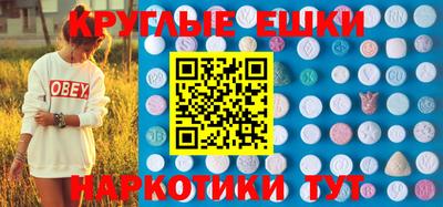 гидропоника Гатчина