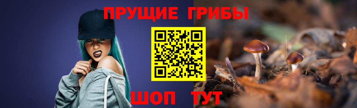 Галлюциногенные грибы Cubensis Белогорск