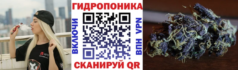 Канабис сатива  Белогорск 