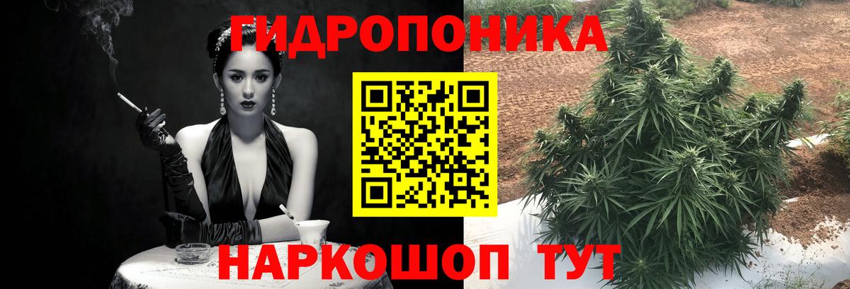 Шишки марихуана Amnesia Белогорск